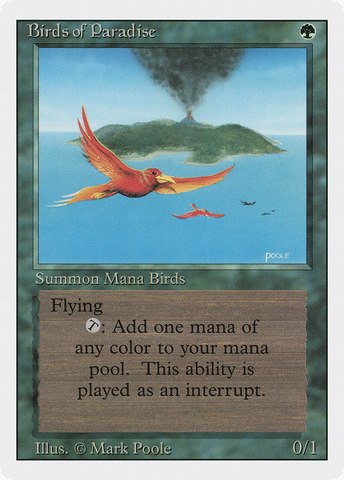 Birds of Paradise [Revised Edition]