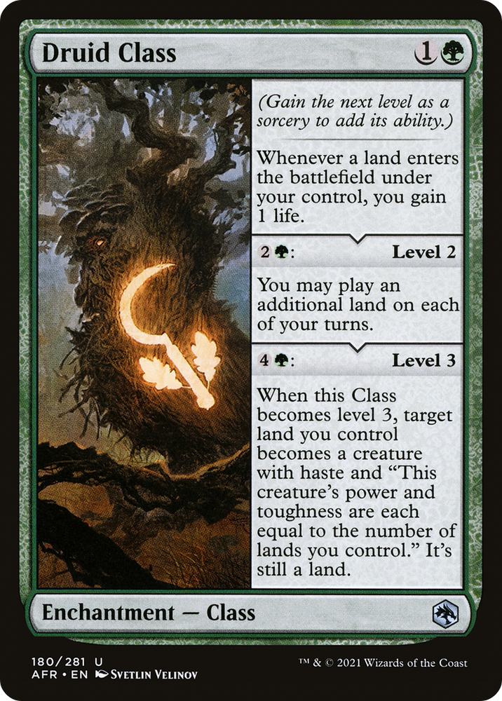Druid Class [Dungeons & Dragons: Adventures in the Forgotten Realms]