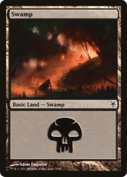 Swamp (79) [Duel Decks: Sorin vs. Tibalt]