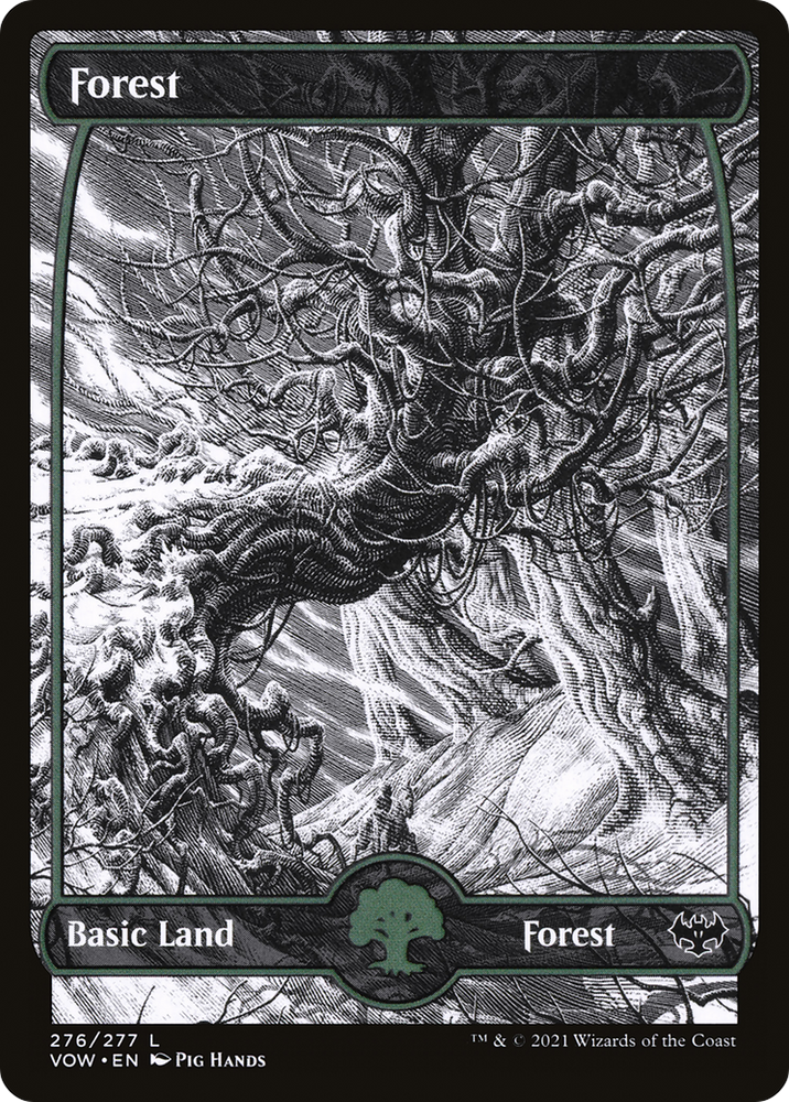 Forest (276) [Innistrad: Crimson Vow]