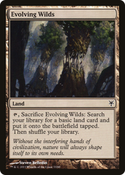 Evolving Wilds [Duel Decks: Sorin vs. Tibalt]